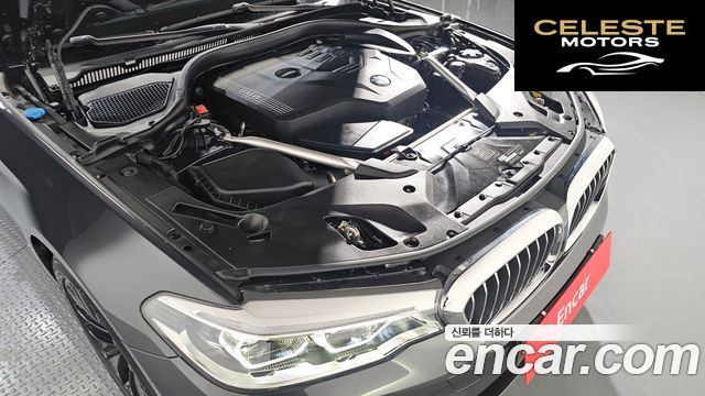 BMW Série 5 (G30) 530i Luxury Plus 2020 — photo 6 sur 20