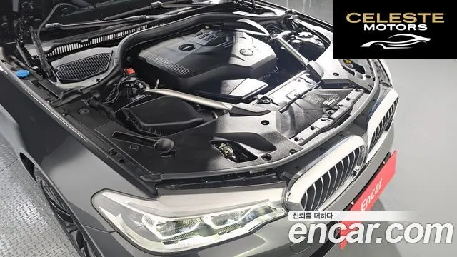BMW Série 5 (G30) 530i Luxury Plus 2020 — photo 6 sur 20