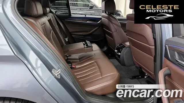 BMW Série 5 (G30) 520d M Sport Plus 2018 — photo 12 sur 20