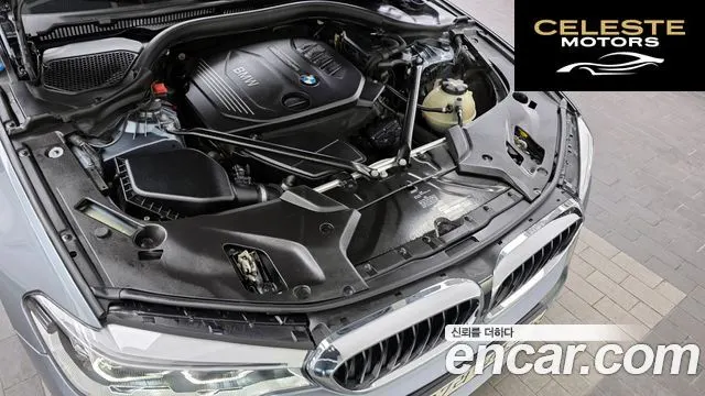 BMW Série 5 (G30) 520d M Sport Plus 2018 — photo 6 sur 20