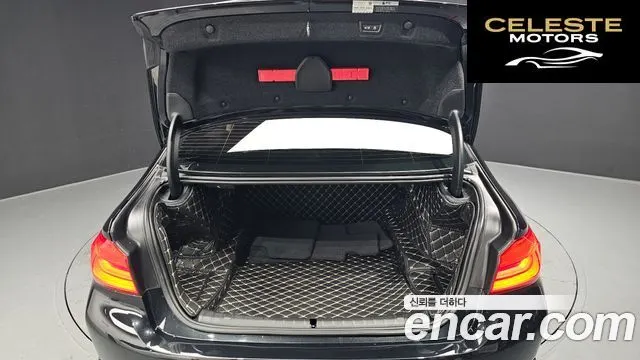 BMW Série 5 (G30) 530i Luxury Plus 2019 — photo 20 sur 20
