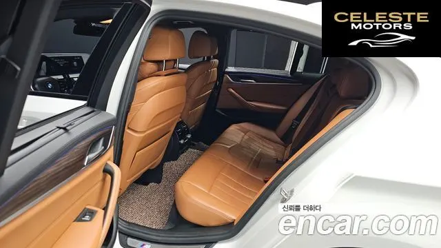 BMW Série 5 (G30) 520d xDrive M Sport Plus 2017 — photo 11 sur 20