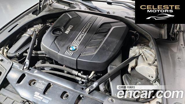 BMW Série 5 (F10) 520d xDrive 2014 — photo 6 sur 26