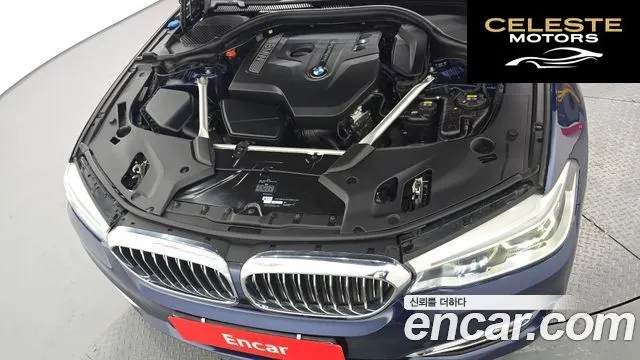 BMW Série 5 (G30) 530i xDrive Luxury Plus 2018 — photo 6 sur 26