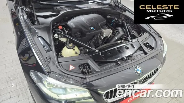 BMW Série 5 (F10) 528i xDrive Luxury Plus 2016 — photo 6 sur 20
