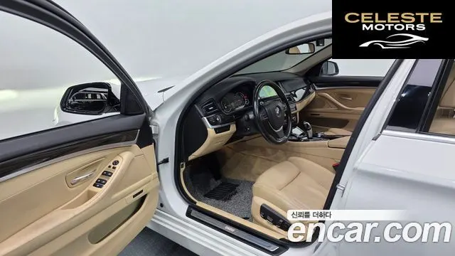 BMW Série 5 (F10) 520d xDrive Luxury Plus 2016 — photo 11 sur 20