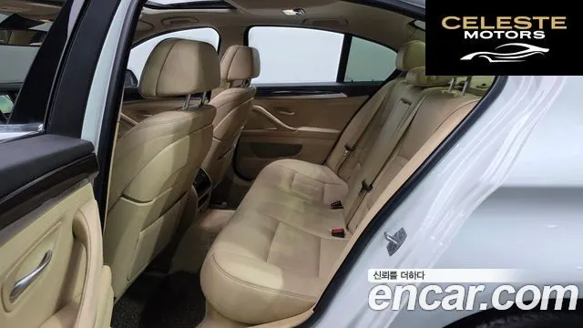 BMW Série 5 (F10) 520d xDrive Luxury Plus 2016 — photo 12 sur 20