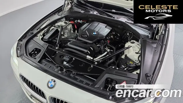 BMW Série 5 (F10) 520d xDrive Luxury Plus 2016 — photo 6 sur 20