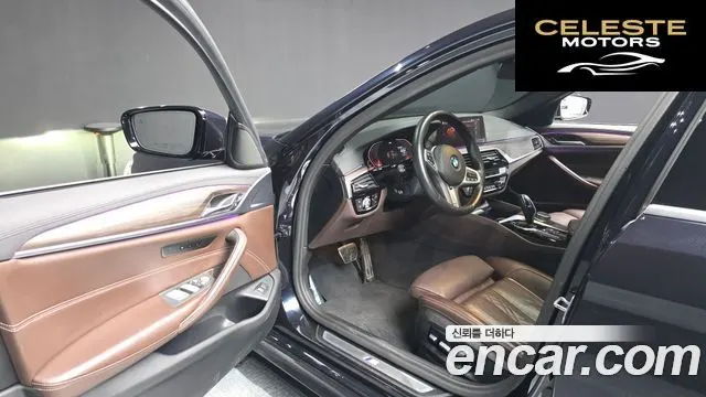 BMW Série 5 (G30) 520d M Sport Plus 2020 — photo 9 sur 26