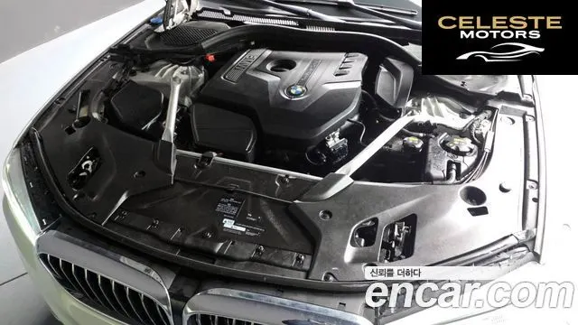 BMW Série 5 (G30) 530i xDrive Luxury Plus 2018 — photo 6 sur 20