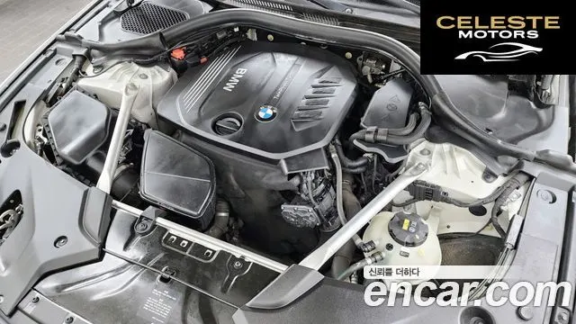 BMW Série 5 (G30) 520d xDrive M Sport Plus 2018 — photo 6 sur 20