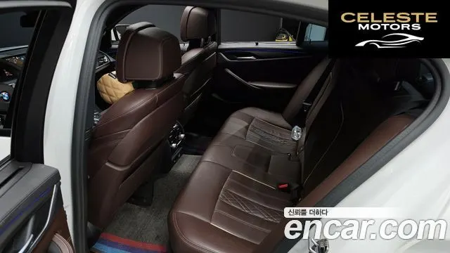 BMW Série 5 (G30) 530i M Sport Plus 2019 — photo 12 sur 20