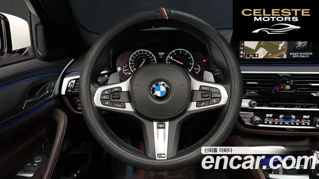 BMW Série 5 (G30) 530i M Sport Plus 2019 — photo 13 sur 20