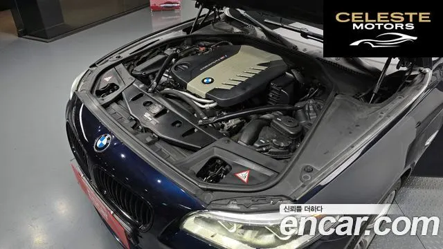 BMW Série 5 (F10) M550d xDrive Aéro Dynamic 2015 — photo 6 sur 20