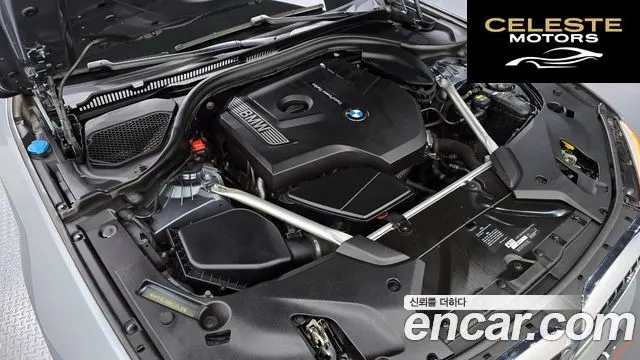 BMW Série 5 (G30) 530i Luxury Plus 2019 — photo 6 sur 20