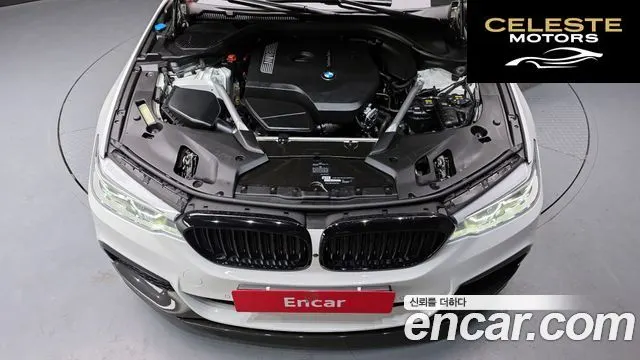 BMW Série 5 (G30) 530i M Sport Plus 2019 — photo 6 sur 20