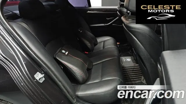 BMW Série 5 (F10) 520d xDrive 2014 — photo 12 sur 20