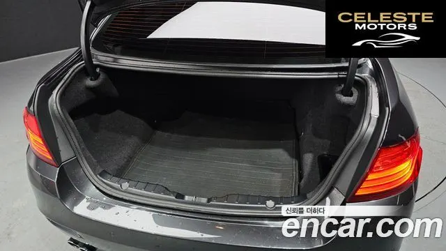 BMW Série 5 (F10) 520d xDrive 2014 — photo 20 sur 20