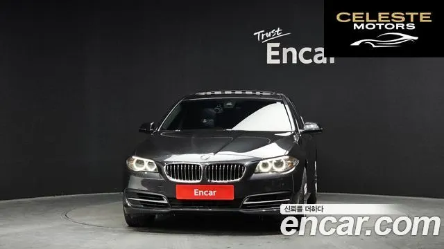 BMW Série 5 (F10) 520d xDrive 2014 — photo 3 sur 20