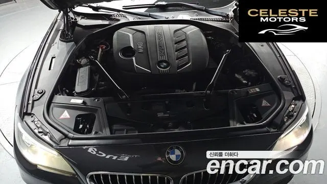 BMW Série 5 (F10) 520d xDrive 2014 — photo 6 sur 20
