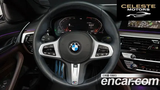 BMW Série 5 (G30) 520i M Sport 2020 — photo 13 sur 20