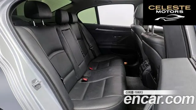 BMW Série 5 (F10) 520d Luxury 2014 — photo 12 sur 20