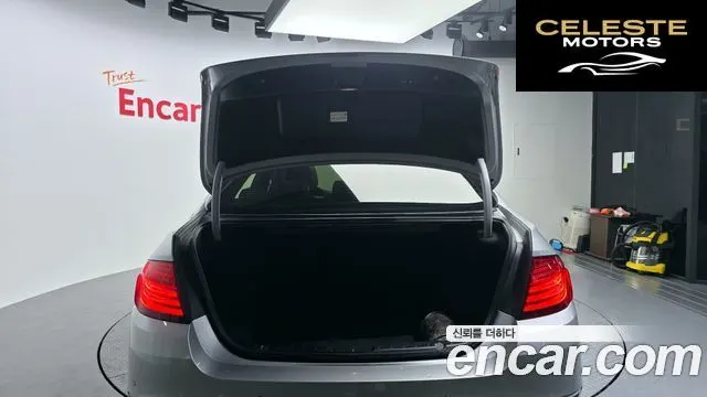 BMW Série 5 (F10) 520d Luxury 2014 — photo 20 sur 20