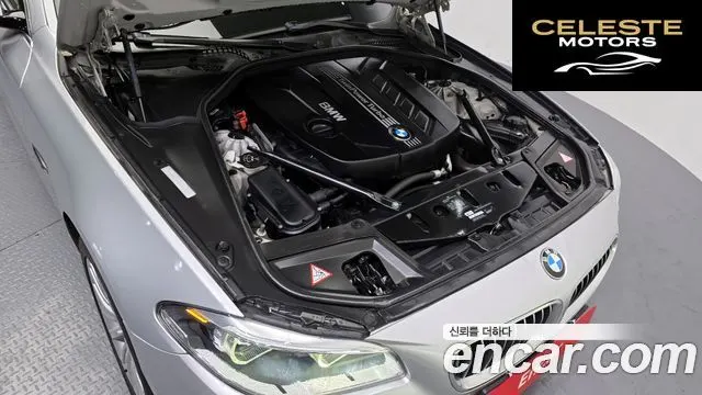 BMW Série 5 (F10) 520d Luxury 2014 — photo 6 sur 20
