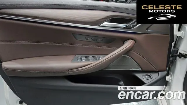 BMW Série 5 (G30) 530i Luxury 2021 — photo 18 sur 20