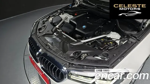 BMW Série 5 (G30) 530i Luxury 2021 — photo 6 sur 20
