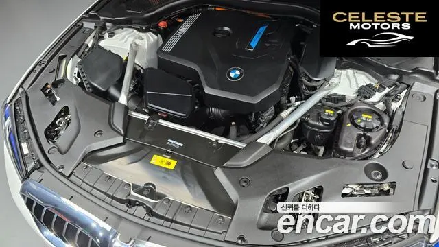 BMW Série 5 (G30) 530e Luxury 2022 — photo 6 sur 20