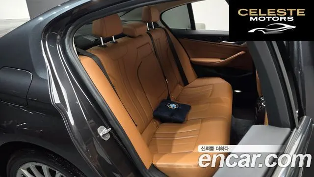 BMW Série 5 (G30) 520i Luxury 2020 — photo 10 sur 20