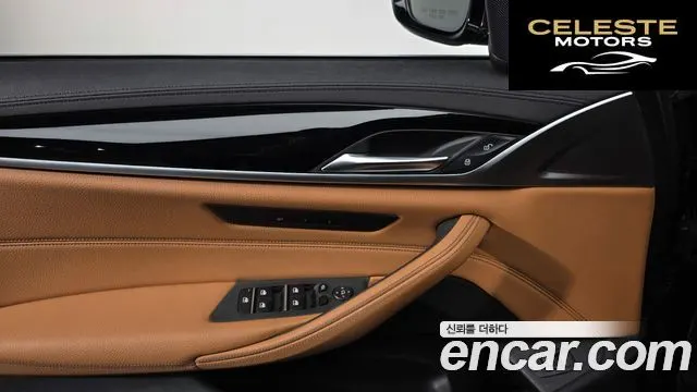 BMW Série 5 (G30) 520i Luxury 2020 — photo 17 sur 20
