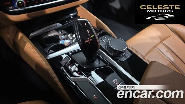 BMW Série 5 (G30) 520i Luxury 2020 — photo 8 sur 20