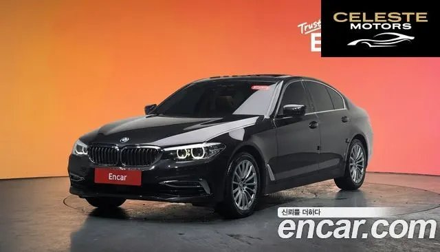 BMW Série 5 (G30) 520i Luxury 2020 — photo 20 sur 20