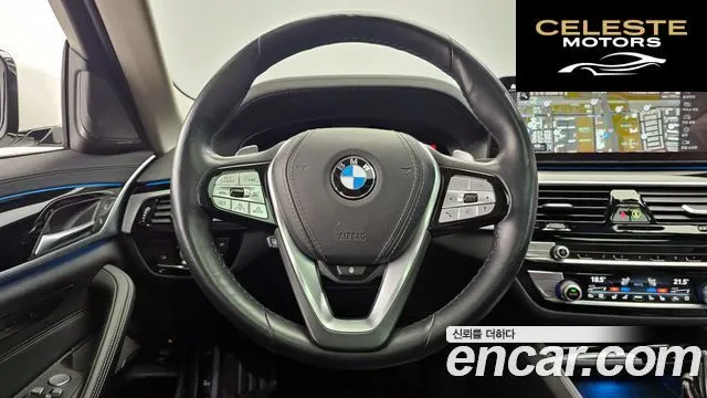 BMW Série 5 (G30) 530e Luxury 2021 — photo 13 sur 20