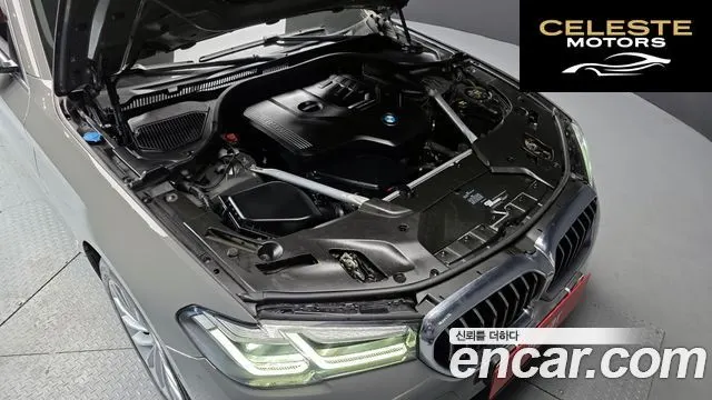 BMW Série 5 (G30) 530i xDrive Luxury 2021 — photo 6 sur 20