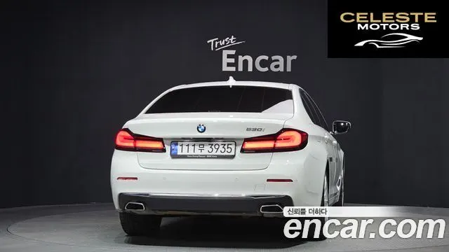 BMW Série 5 (G30) 530i Luxury 2023 — photo 4 sur 20