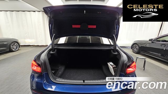 BMW Série 5 (G30) 530i Luxury 2021 — photo 20 sur 20