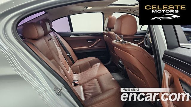 BMW Série 5 (F10) 520d xDrive 2014 — photo 12 sur 20