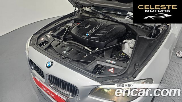 BMW Série 5 (F10) 520d xDrive 2014 — photo 6 sur 20