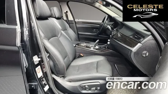 BMW Série 5 (F10) 520d Luxury Plus 2016 — photo 11 sur 20