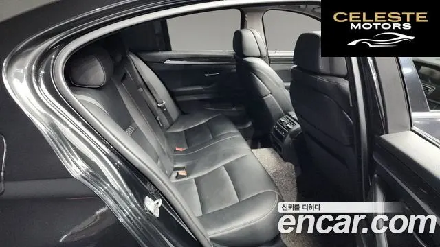 BMW Série 5 (F10) 520d Luxury Plus 2016 — photo 12 sur 20