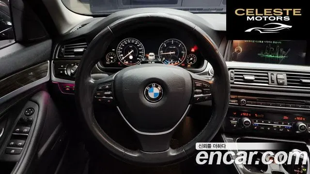 BMW Série 5 (F10) 520d Luxury Plus 2016 — photo 13 sur 20