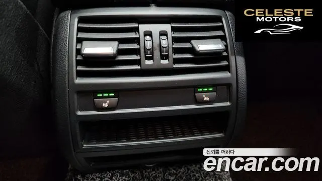 BMW Série 5 (F10) 520d Luxury Plus 2016 — photo 19 sur 20