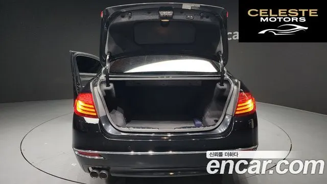 BMW Série 5 (F10) 520d Luxury Plus 2016 — photo 20 sur 20