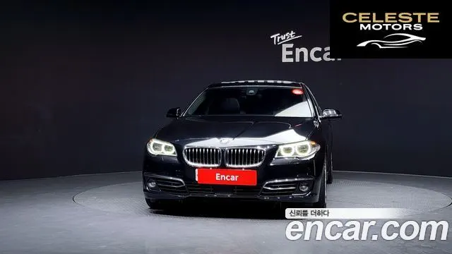 BMW Série 5 (F10) 520d Luxury Plus 2016 — photo 3 sur 20