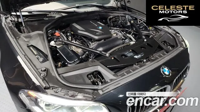 BMW Série 5 (F10) 520d Luxury Plus 2016 — photo 6 sur 20