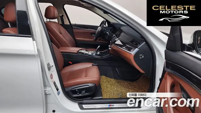 BMW Série 5 (F10) 520d M Aéro Dynamic 2016 — photo 11 sur 20