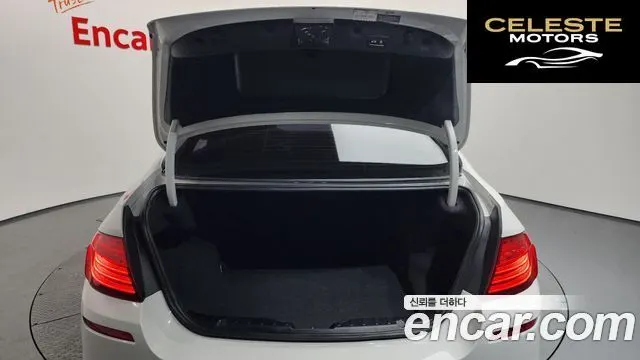 BMW Série 5 (F10) 520d M Aéro Dynamic 2016 — photo 20 sur 20